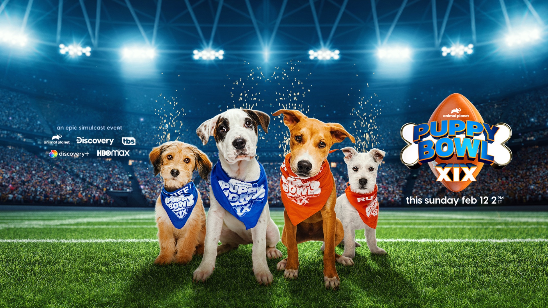 Puppy Bowl XIX Bright Spot Content