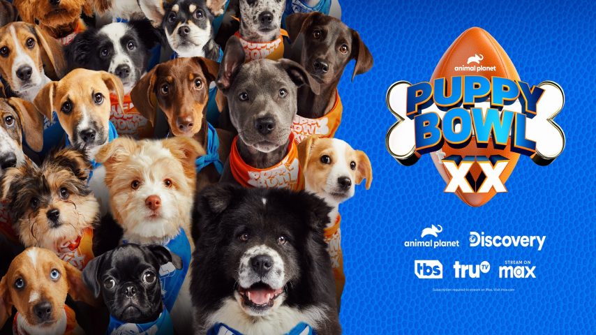 Puppy Bowl XX