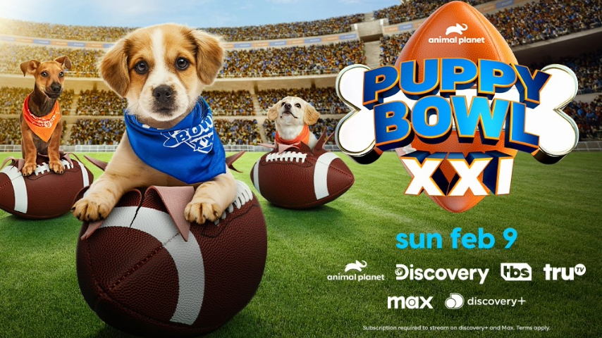 Puppy Bowl XXI